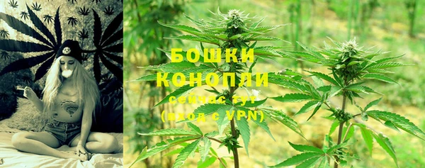 молекула духа Покачи