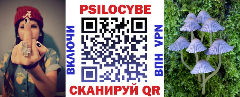 Галлюциногенные грибы MAGIC MUSHROOMS  хочу наркоту  Ак-Довурак 